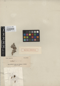 LE 00014364