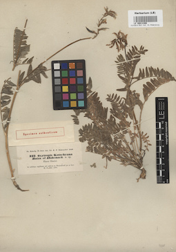 LE 00014368