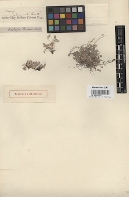 LE 00014376