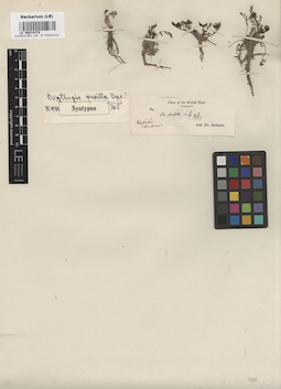 LE 00014378