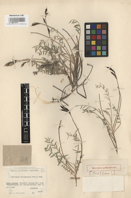 LE 00014379