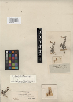 LE 00014391