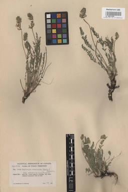 LE 00014393