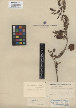 LE 00014396