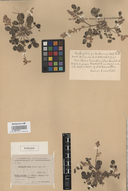 LE 00014416