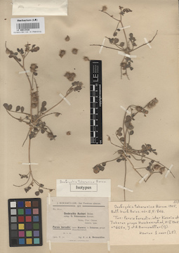 LE 00014428