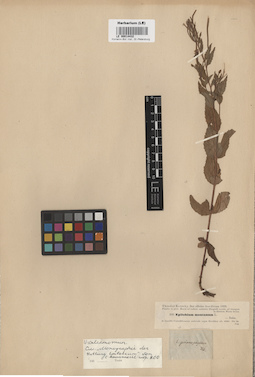 LE 00014432