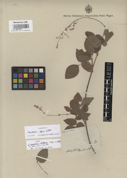 LE 00014437