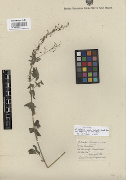 LE 00014463