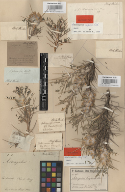 LE 00014492