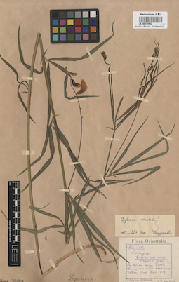LE 00014522