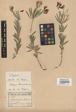 LE 00014523