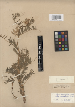 LE 00014560