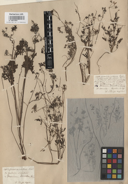 LE 00014583