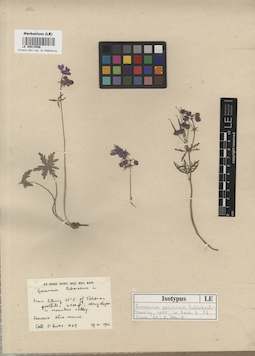 LE 00014586
