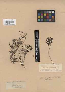 LE 00014589