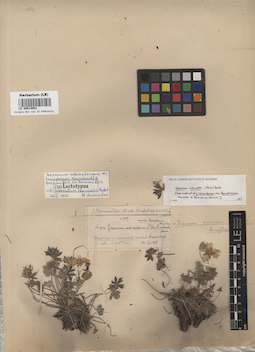 LE 00014591