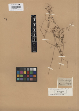 LE 00014597