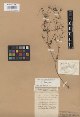 LE 00014598