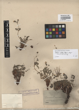 LE 00014601