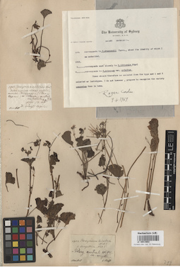 LE 00014602