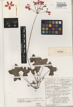 LE 00014606