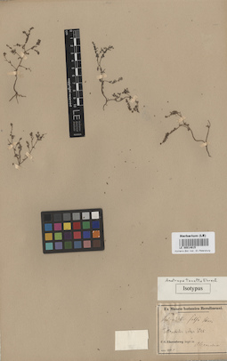 LE 00014615