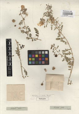 LE 00014623