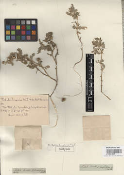 LE 00014625