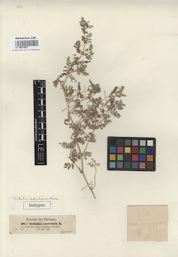 LE 00014627