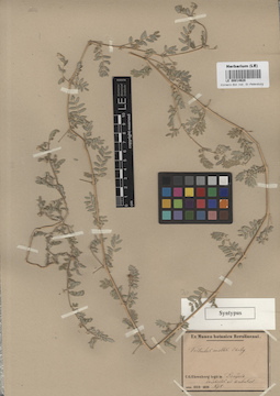 LE 00014628