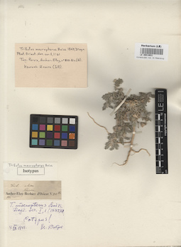 LE 00014631