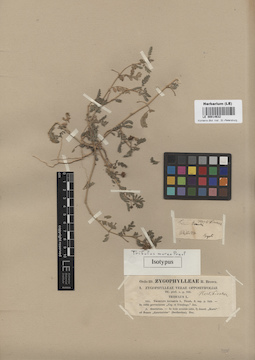 LE 00014632
