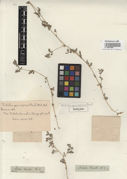 LE 00014635