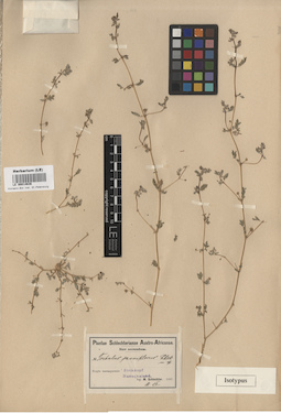 LE 00014636