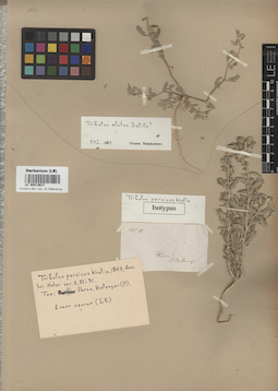 LE 00014637