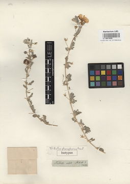 LE 00014639