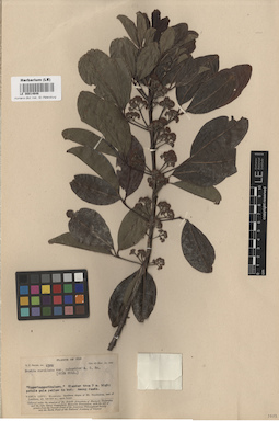 LE 00014646