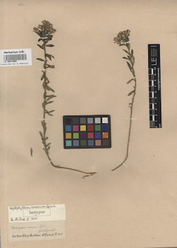 LE 00014650