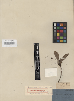 LE 00014653