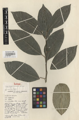 LE 00014655