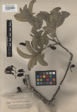 LE 00014671