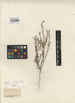 LE 00014774
