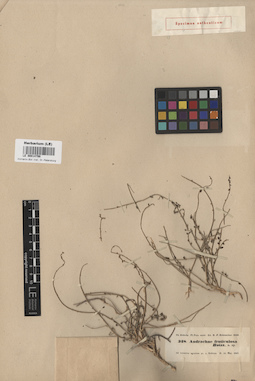 LE 00014798