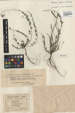 LE 00014801