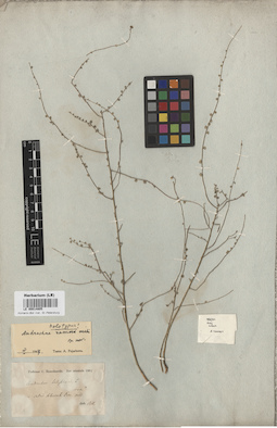 LE 00014805