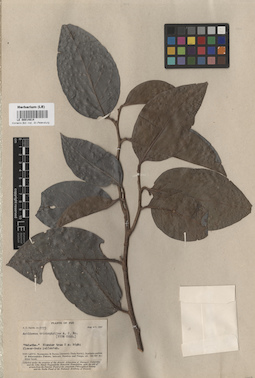 LE 00014814
