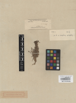 LE 00014829