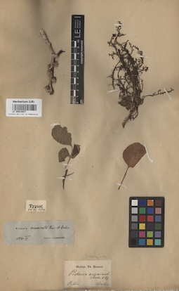 LE 00014837