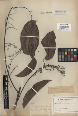 LE 00014841